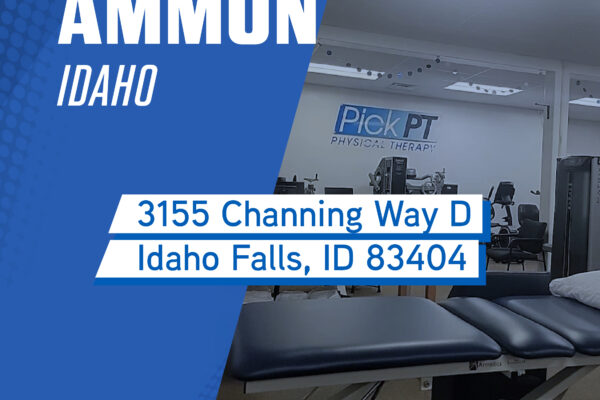 ammon physical therapy